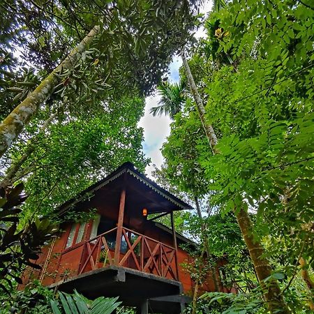 Wooden Cottages Glen Wayanad Meppādi Exteriör bild