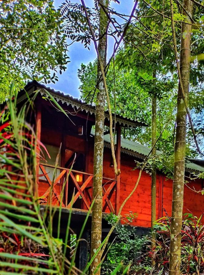 Wooden Cottages Glen Wayanad Meppādi Exteriör bild