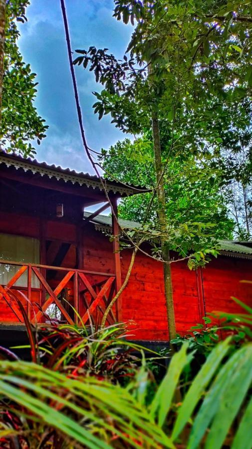 Wooden Cottages Glen Wayanad Meppādi Exteriör bild