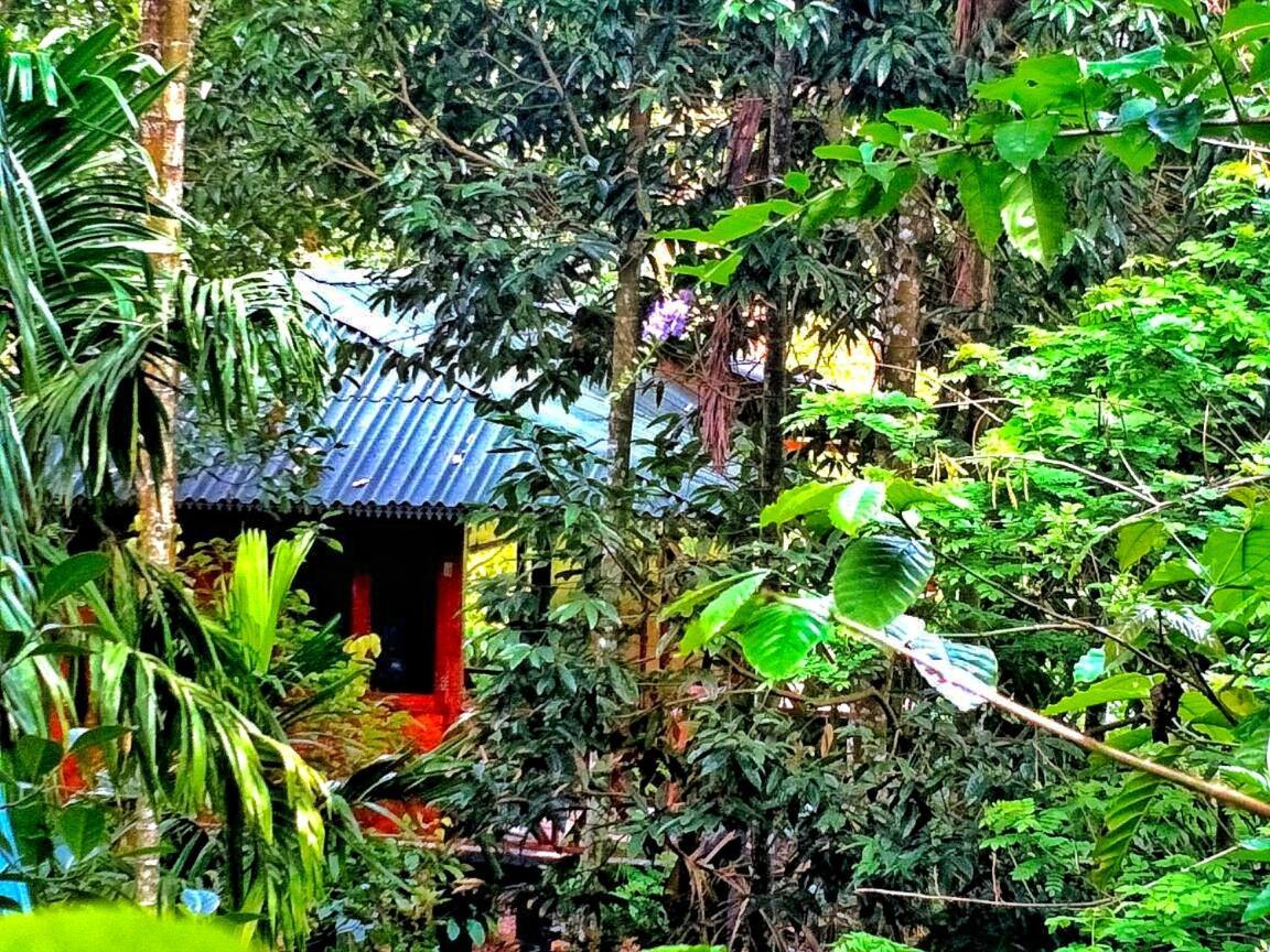 Wooden Cottages Glen Wayanad Meppādi Exteriör bild