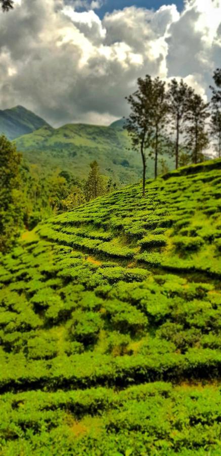 Wooden Cottages Glen Wayanad Meppādi Exteriör bild