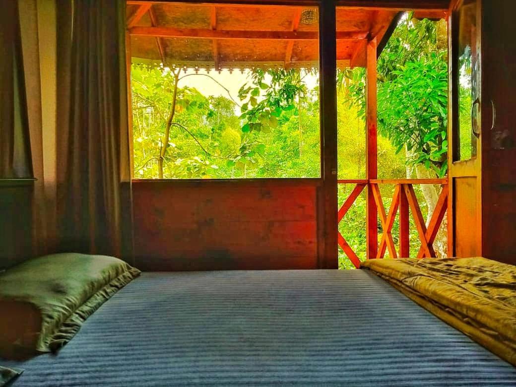 Wooden Cottages Glen Wayanad Meppādi Exteriör bild