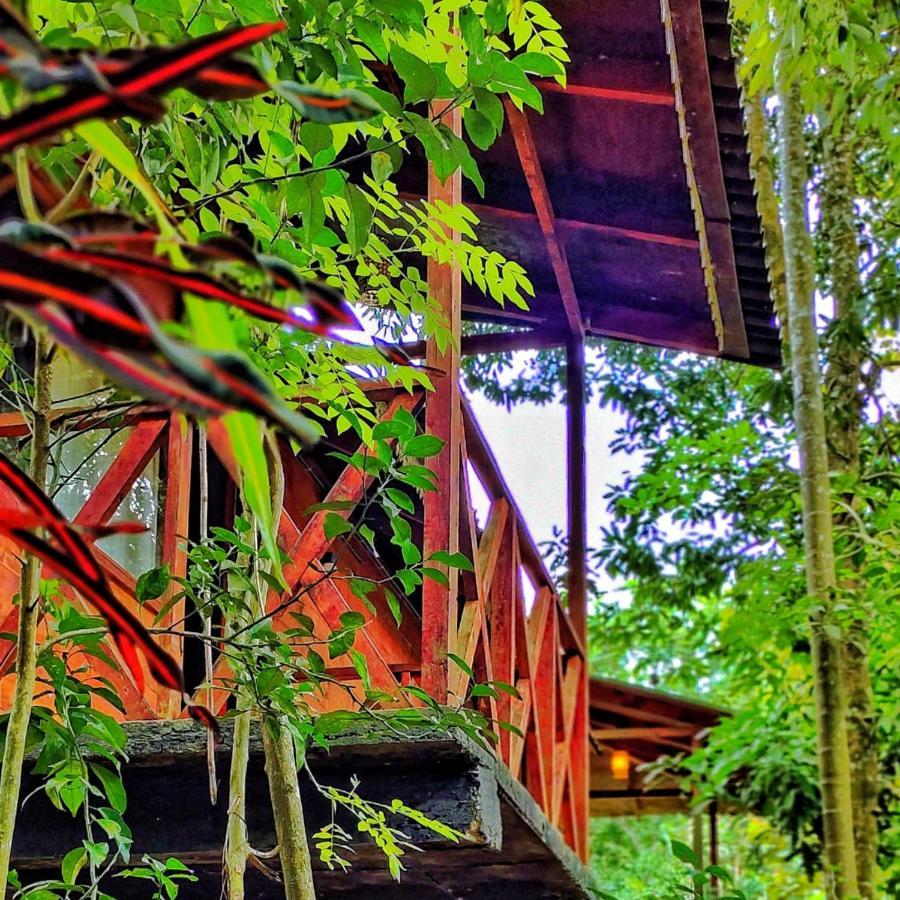 Wooden Cottages Glen Wayanad Meppādi Exteriör bild