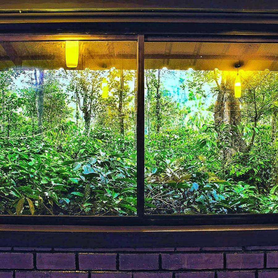 Wooden Cottages Glen Wayanad Meppādi Exteriör bild