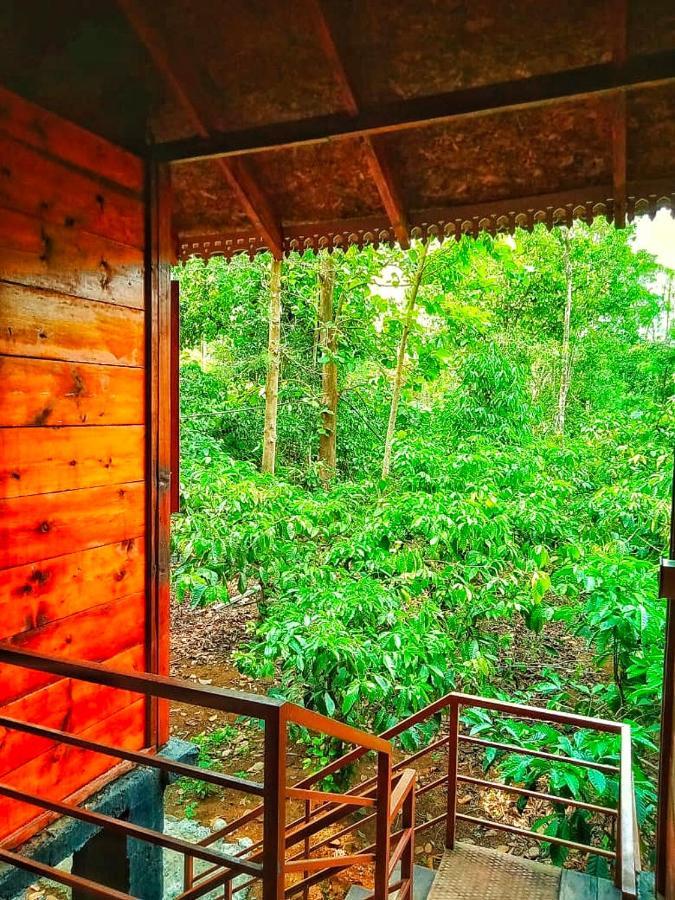 Wooden Cottages Glen Wayanad Meppādi Exteriör bild
