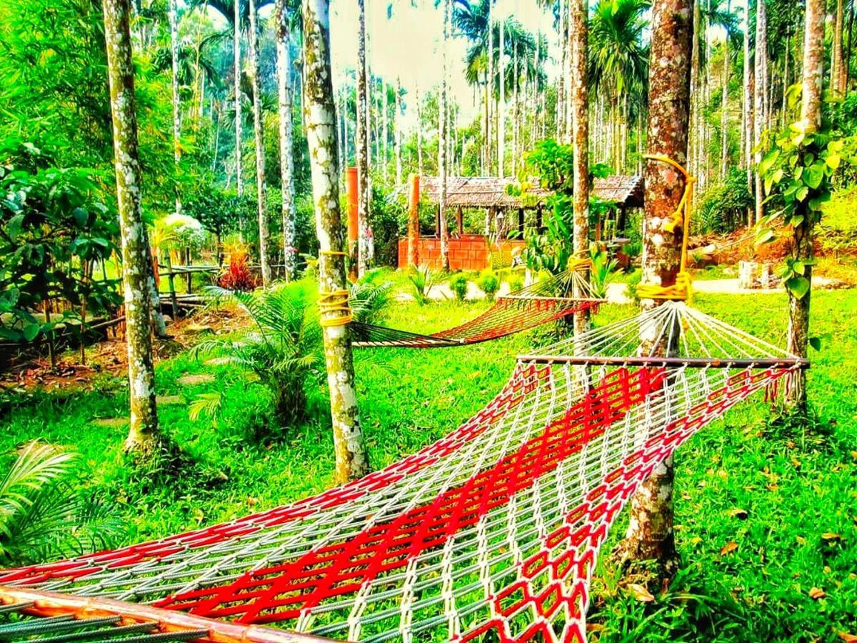 Wooden Cottages Glen Wayanad Meppādi Exteriör bild