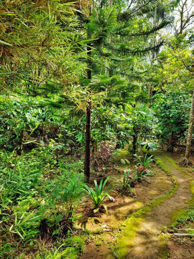 Wooden Cottages Glen Wayanad Meppādi Exteriör bild