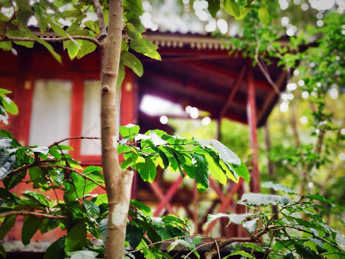 Wooden Cottages Glen Wayanad Meppādi Exteriör bild