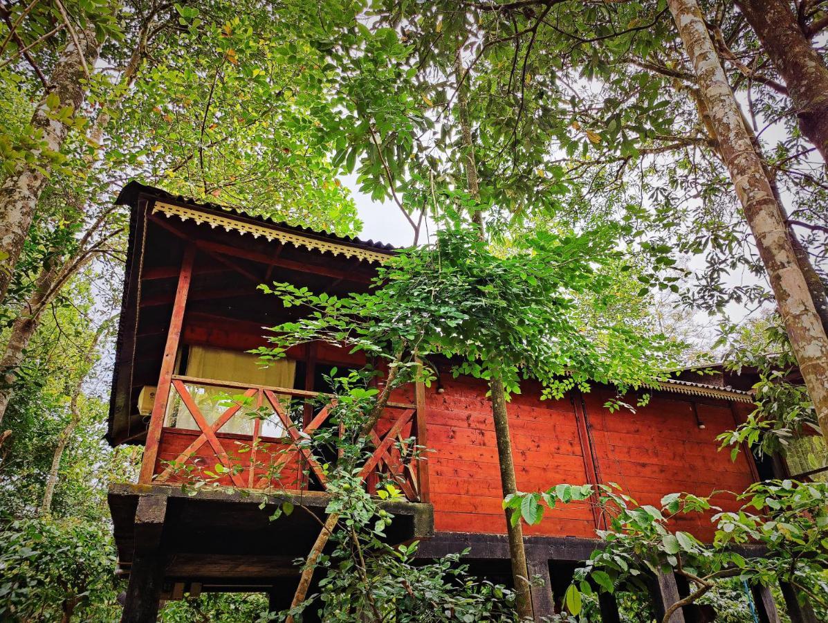 Wooden Cottages Glen Wayanad Meppādi Exteriör bild