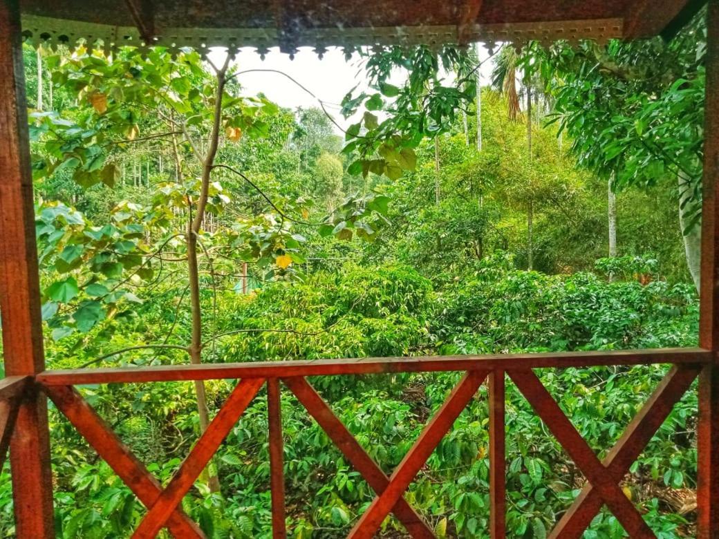 Wooden Cottages Glen Wayanad Meppādi Exteriör bild