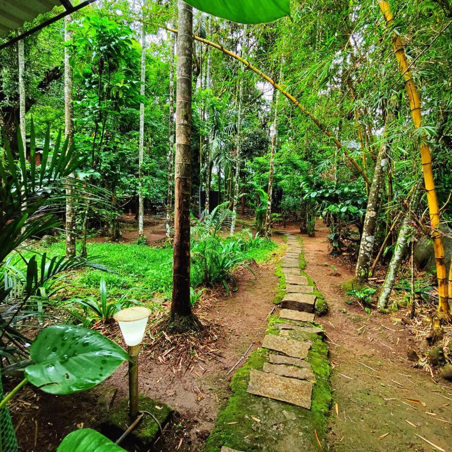 Wooden Cottages Glen Wayanad Meppādi Exteriör bild