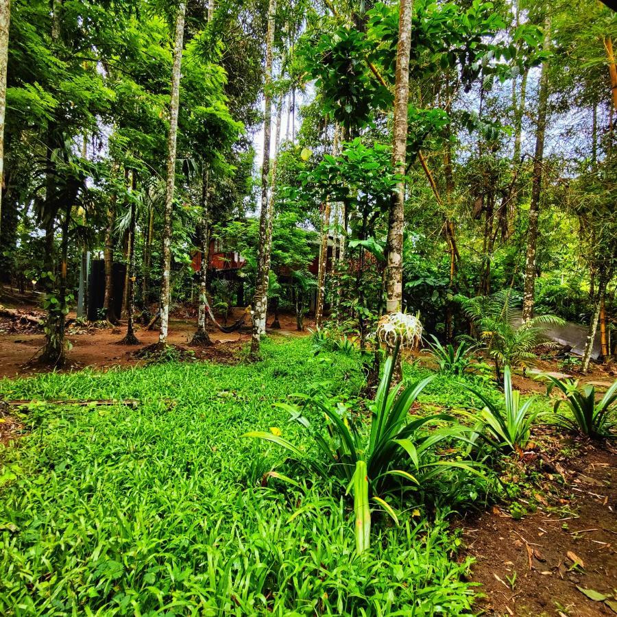 Wooden Cottages Glen Wayanad Meppādi Exteriör bild
