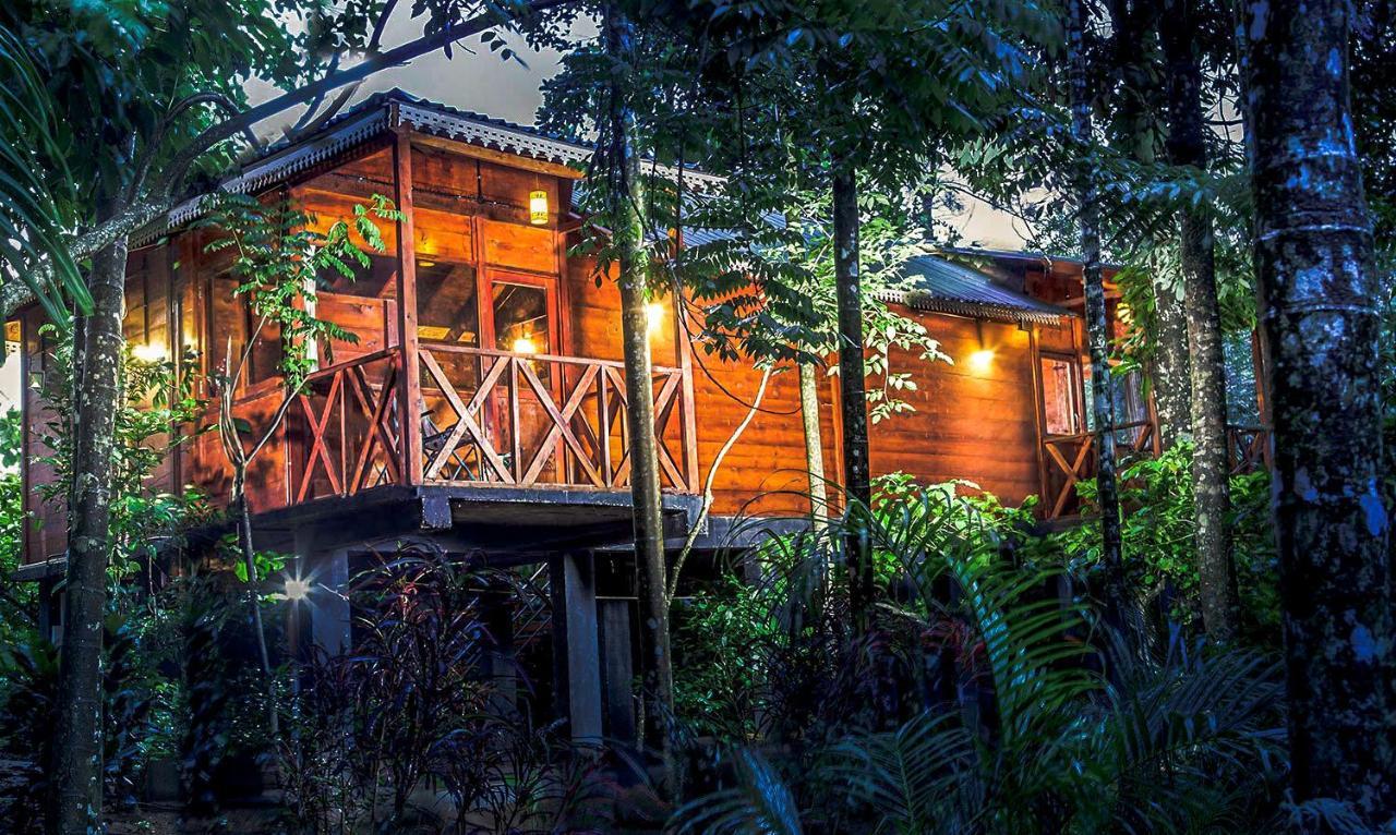 Wooden Cottages Glen Wayanad Meppādi Exteriör bild