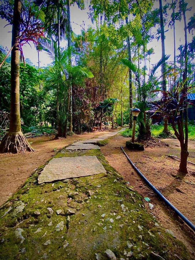 Wooden Cottages Glen Wayanad Meppādi Exteriör bild