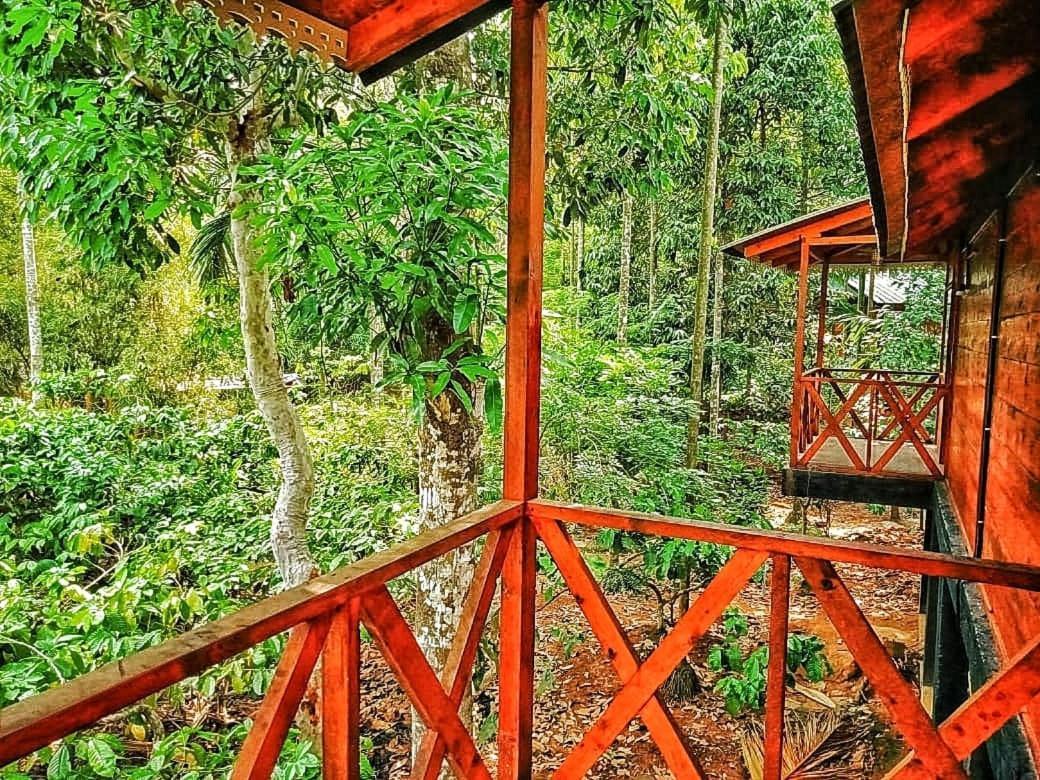 Wooden Cottages Glen Wayanad Meppādi Exteriör bild